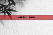 小居室养什么宠物