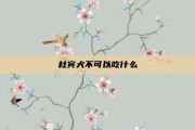杜宾犬不可以吃什么