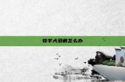 牧羊犬泪痕怎么办