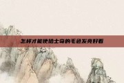 怎样才能使哈士奇的毛色发亮好看