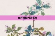 杜宾犬幼犬怎么养
