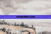养宠物蛇需要什么设备