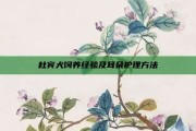 杜宾犬饲养经验及耳朵护理方法