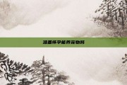 准备怀孕能养宠物吗