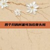 四个月的柯基可以吃骨头吗