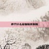 养个什么宠物陪伴狗狗