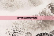 养个什么宠物陪伴狗狗