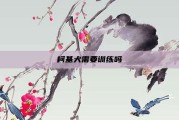 柯基犬需要训练吗