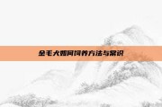 金毛犬如何饲养方法与常识