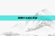 狗用什么给它洗澡