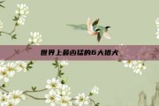 世界上最凶猛的6大猎犬