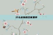 什么宠物适合家里养