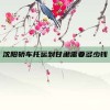 沈阳轿车托运到甘肃需要多少钱