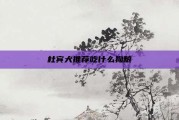 杜宾犬推荐吃什么狗粮
