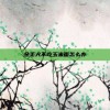 金毛犬不吃玉米面怎么办