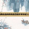 哪些品种的狗适合陪伴单身老人