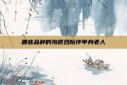 哪些品种的狗适合陪伴单身老人