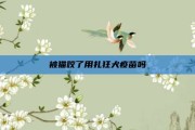 被猫咬了用扎狂犬疫苗吗
