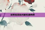拉布拉多幼犬能吃鱼肉吗