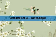 成年英国斗牛犬一天吃多少狗粮