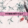 中华田园犬属于什么犬