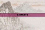 猫突然很能掉毛
