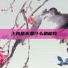 土狗是不是什么都能吃