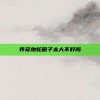 养宠物蛇箱子太大不好吗