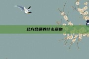 北方合适养什么宠物
