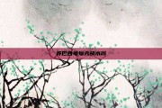 养巴西龟每天换水吗