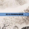 买什么毛茸茸的宠物好养
