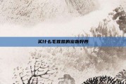 买什么毛茸茸的宠物好养