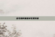 金毛和柯基谁掉毛更厉害