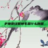 萨摩耶经常掉毛是什么原因