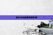 金毛犬吃蛋黄有啥作用