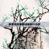 家里没有猫粮给猫吃什么好