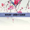 狗毛掉一块是什么原因