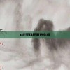 c2可以开面包车吗