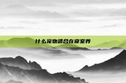什么宠物适合在寝室养