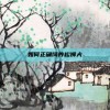 如何正确饲养松狮犬