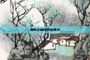如何正确饲养松狮犬