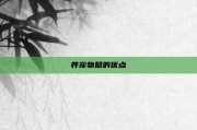 养宠物鼠的优点