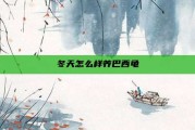 冬天怎么样养巴西龟
