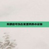 有哪些可以在家里养的小宠物