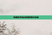 有哪些可以在家里养的小宠物