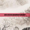 哈尔滨发往富锦的客车时间表