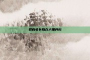 巴西龟长期在水里养吗