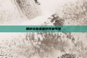 哪种宠物兔最好养最可爱