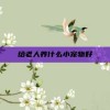 给老人养什么小宠物好