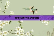 给老人养什么小宠物好
